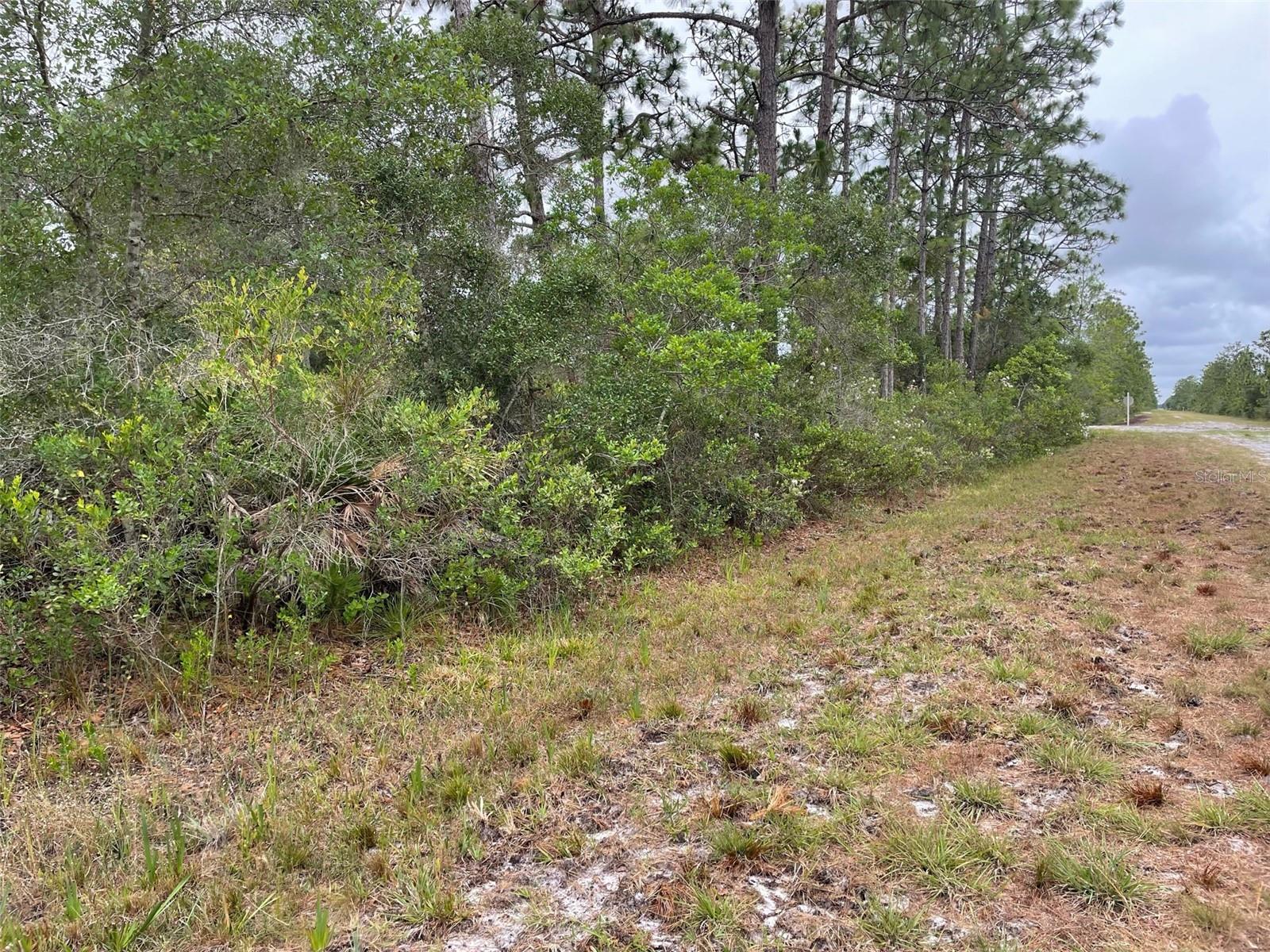 0 Bougainvillea Dr Property Photo 7