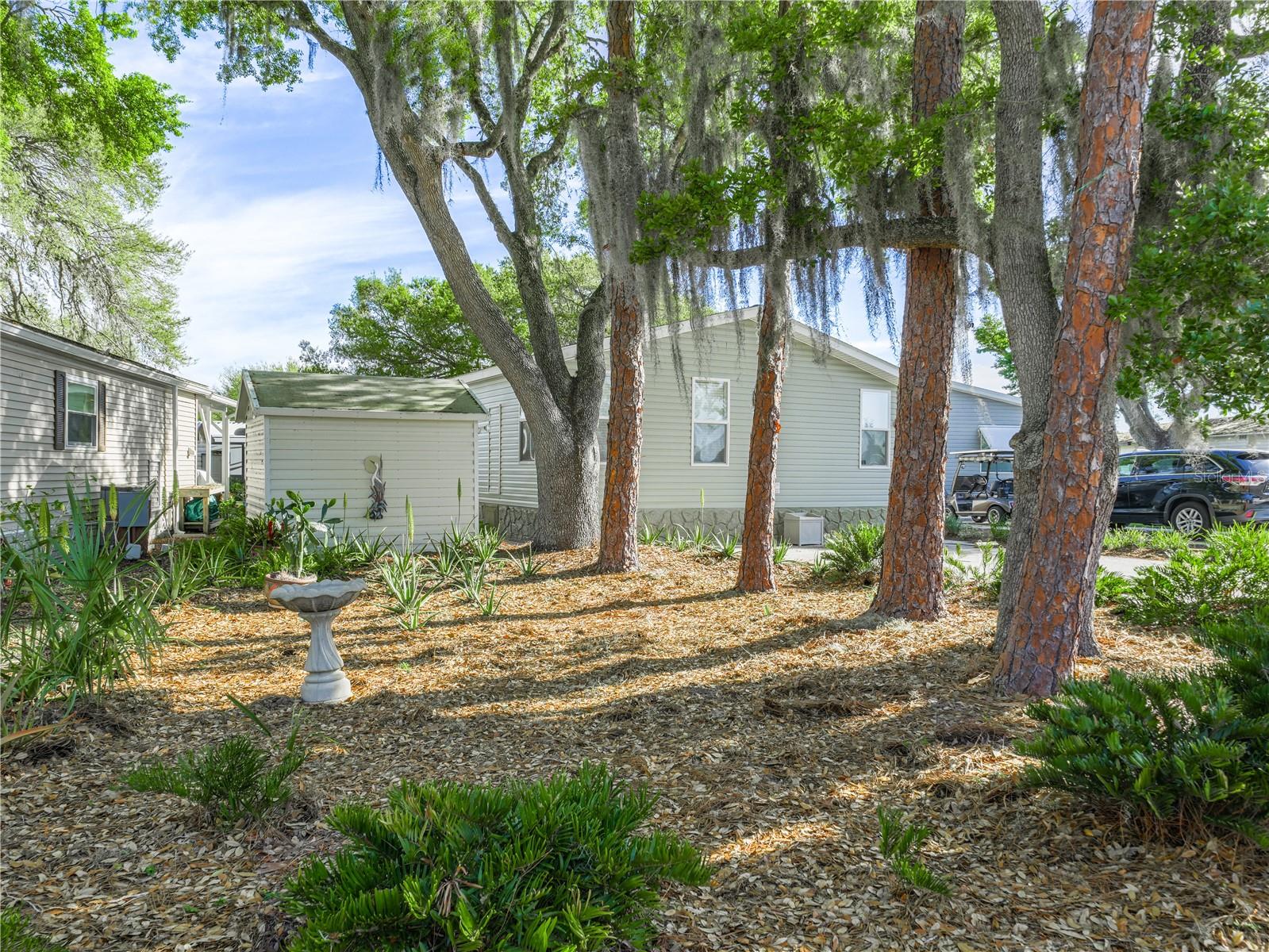 8 Night Owl Cir Property Photo 3