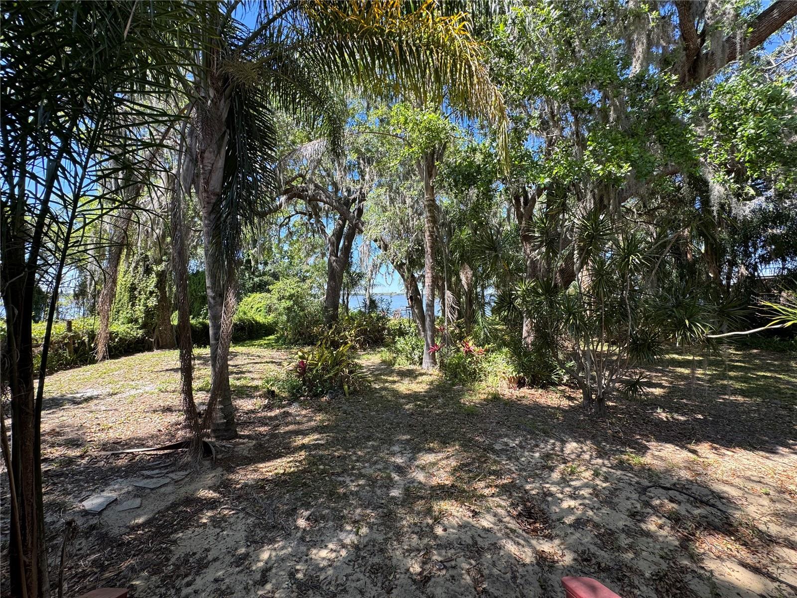 1871 S Lake Reedy Blvd Property Photo 31