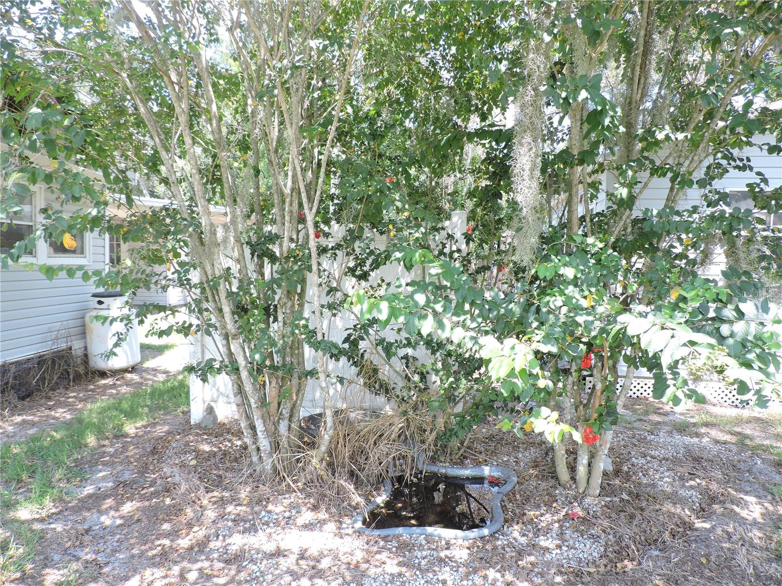 2530 Snapping Turtle Dr Property Photo 31