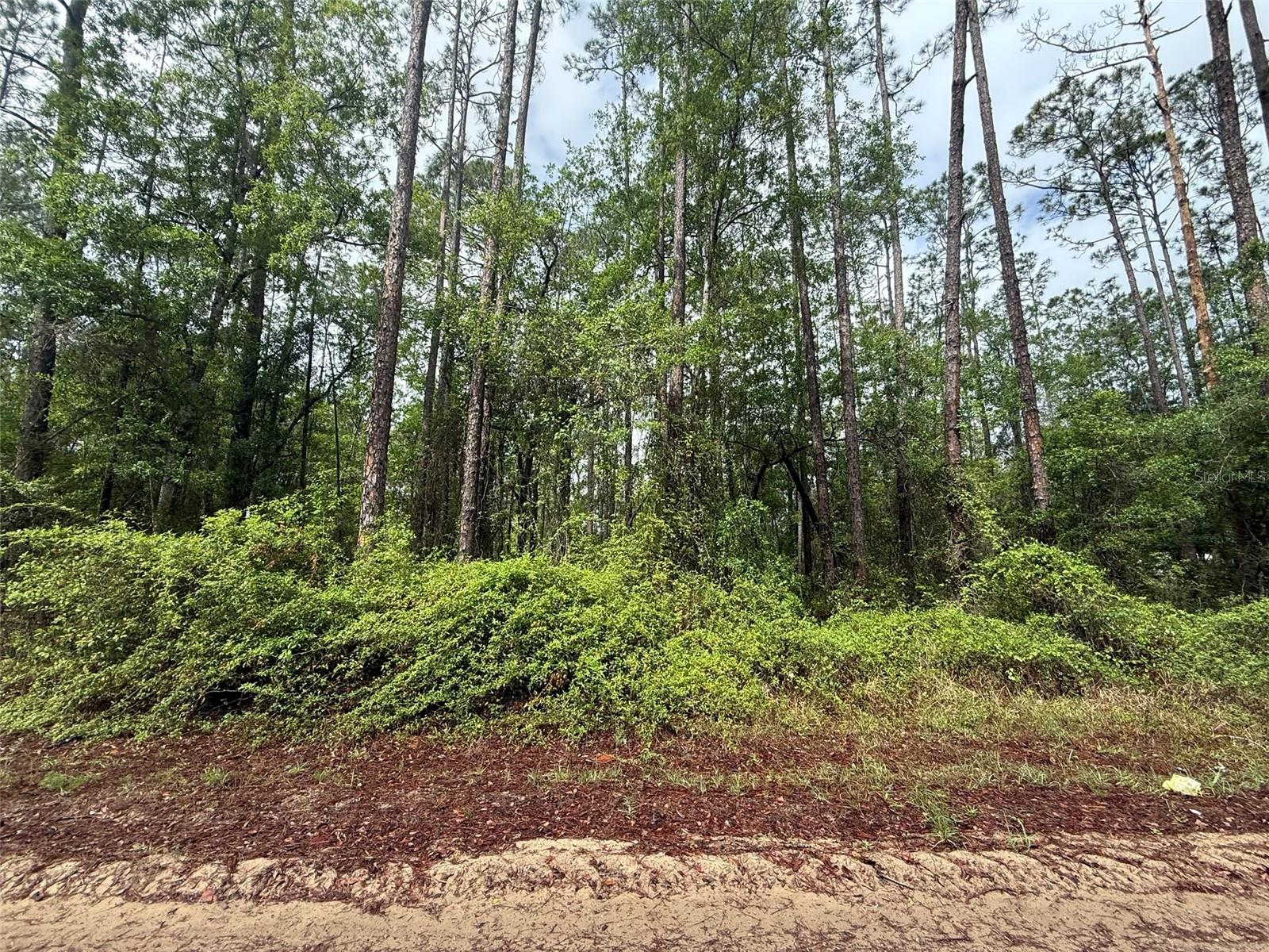 Seminole Ave Property Photo 1
