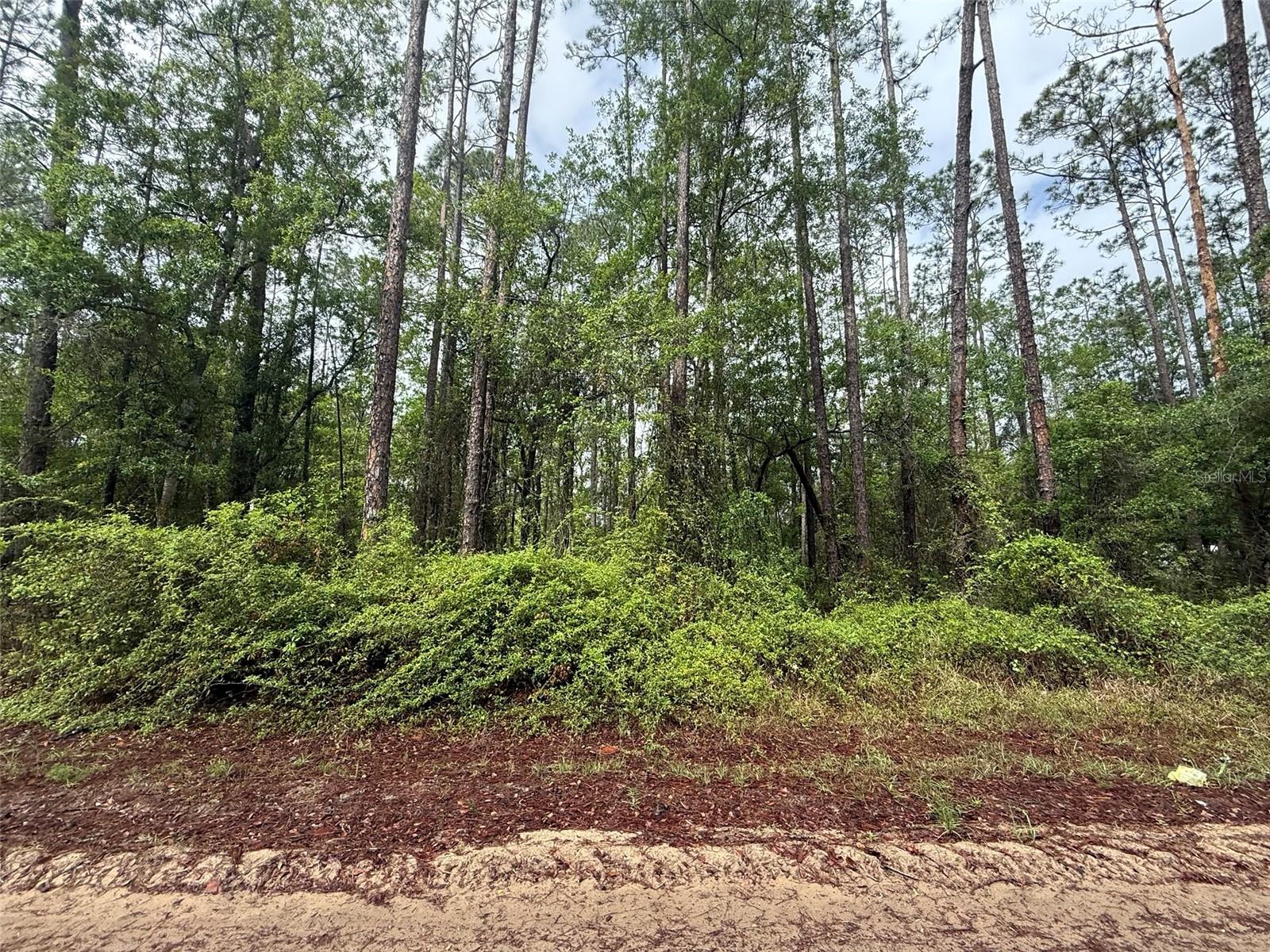 Seminole Ave Property Photo 4
