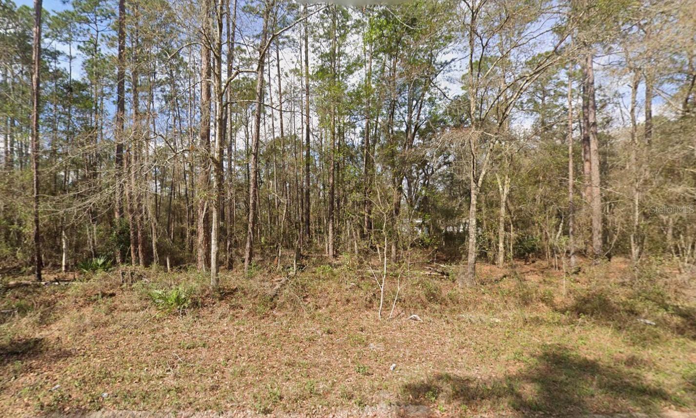 Seminole Ave Property Photo 6