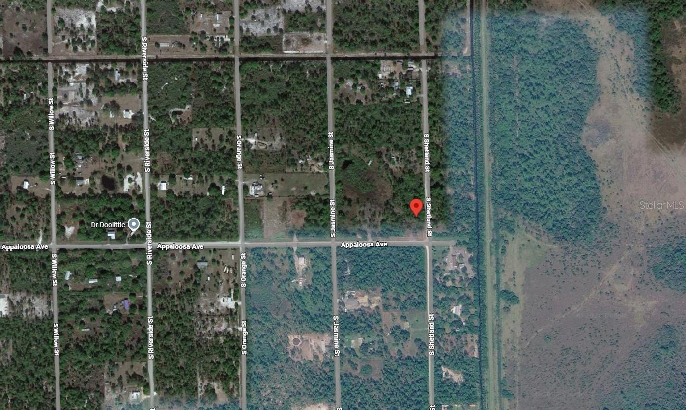 869 Appaloosa Ave Property Photo 4