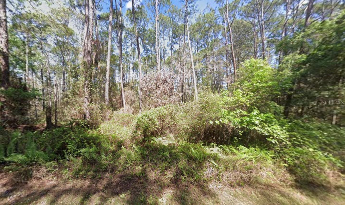 418 Palm Way Property Photo 1