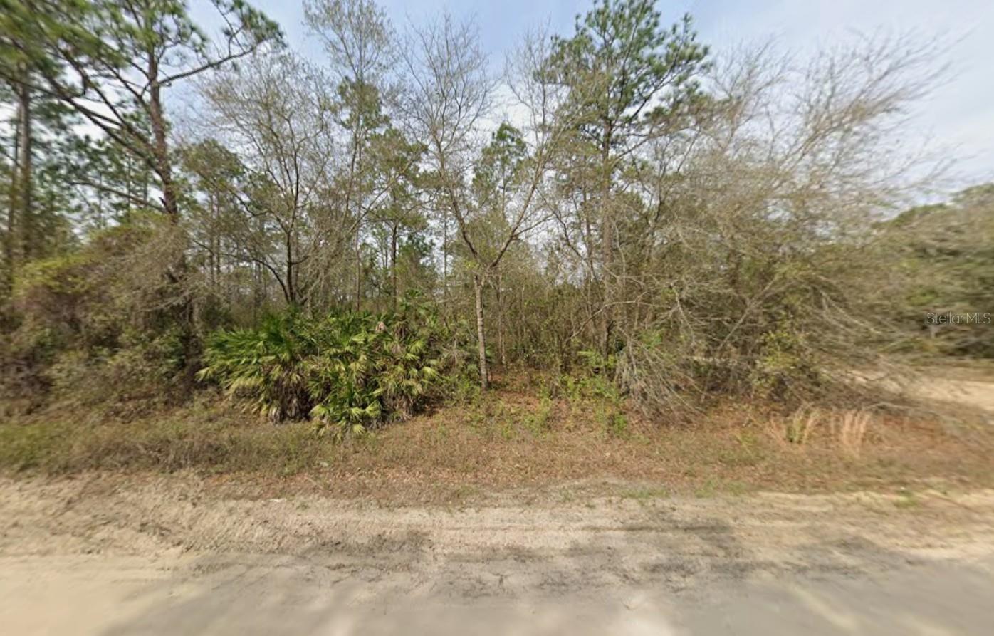 Lot 18 Wallace St Property Photo 3