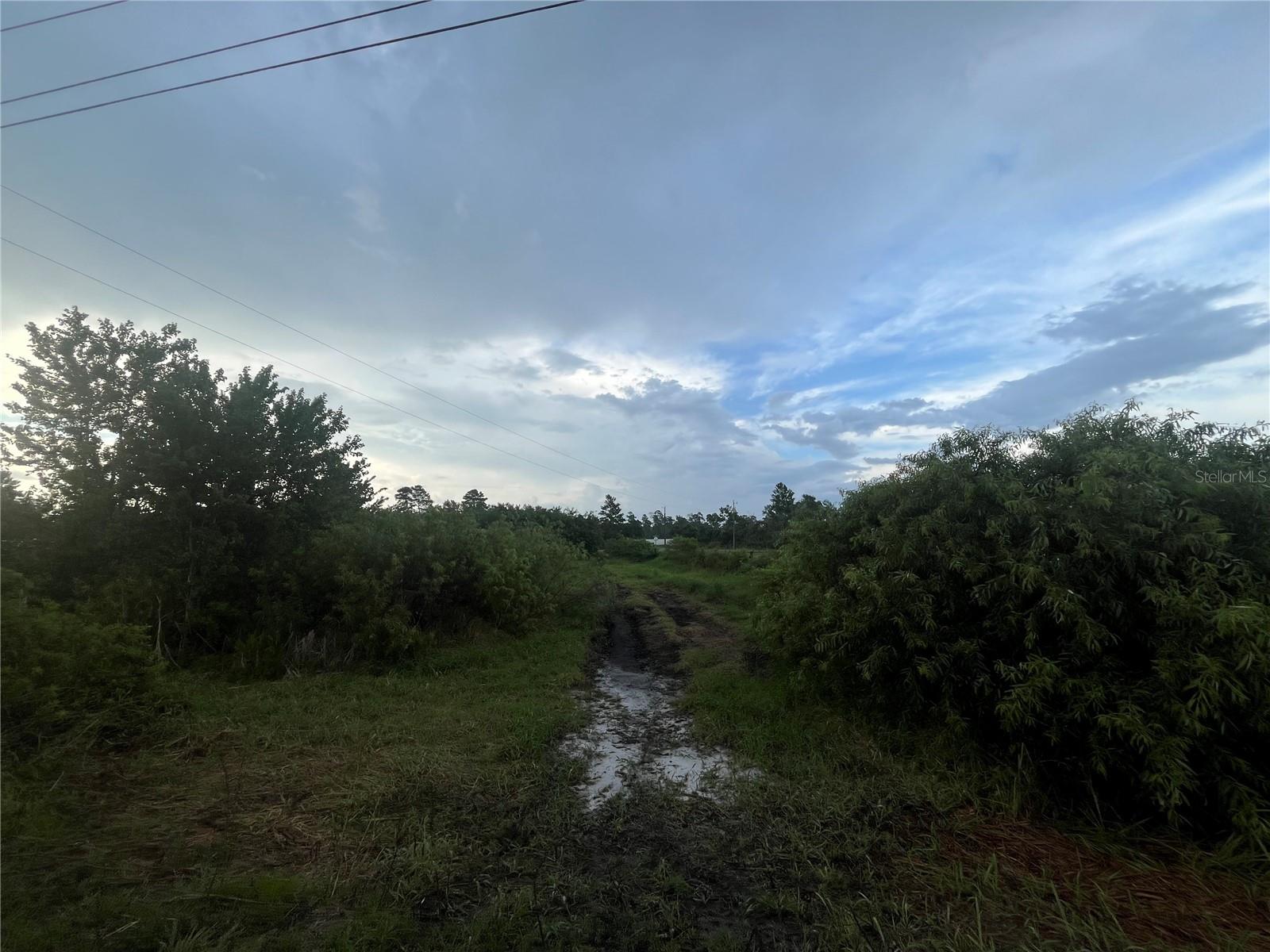 E State Rd 60 Property Photo 2
