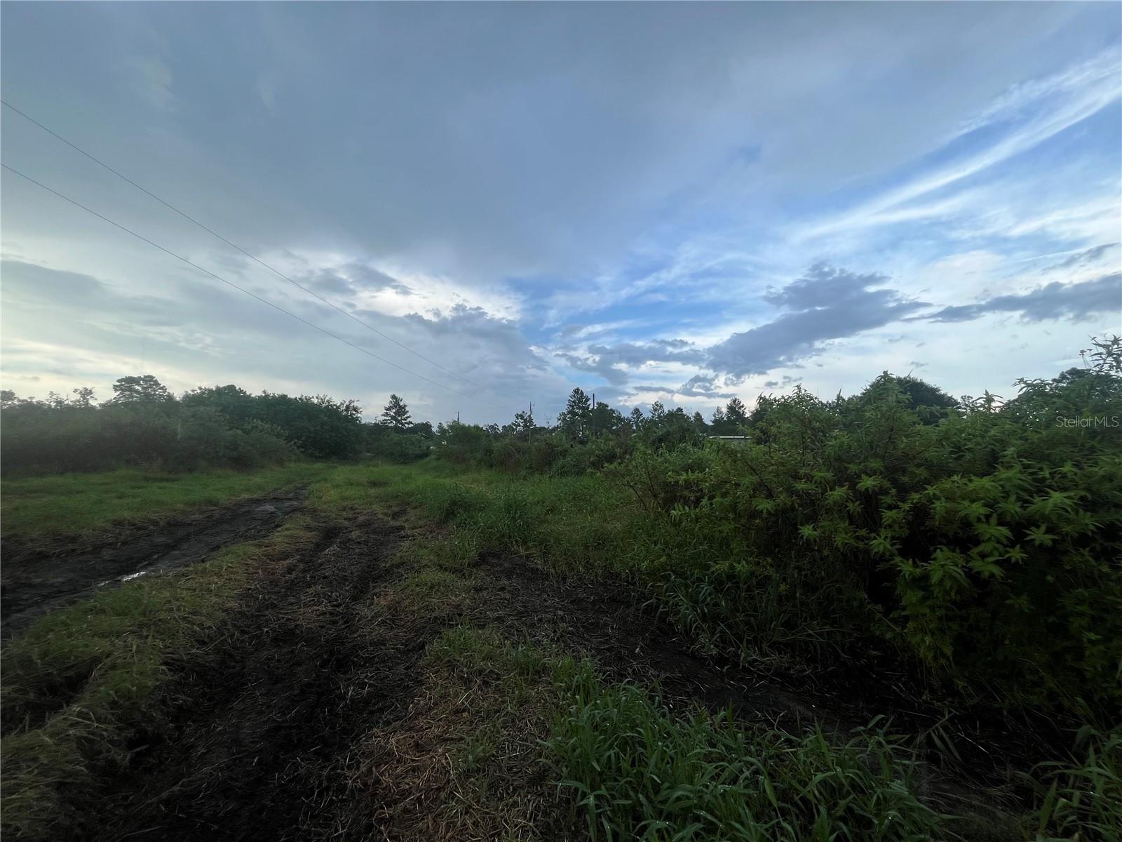 E State Rd 60 Property Photo 4