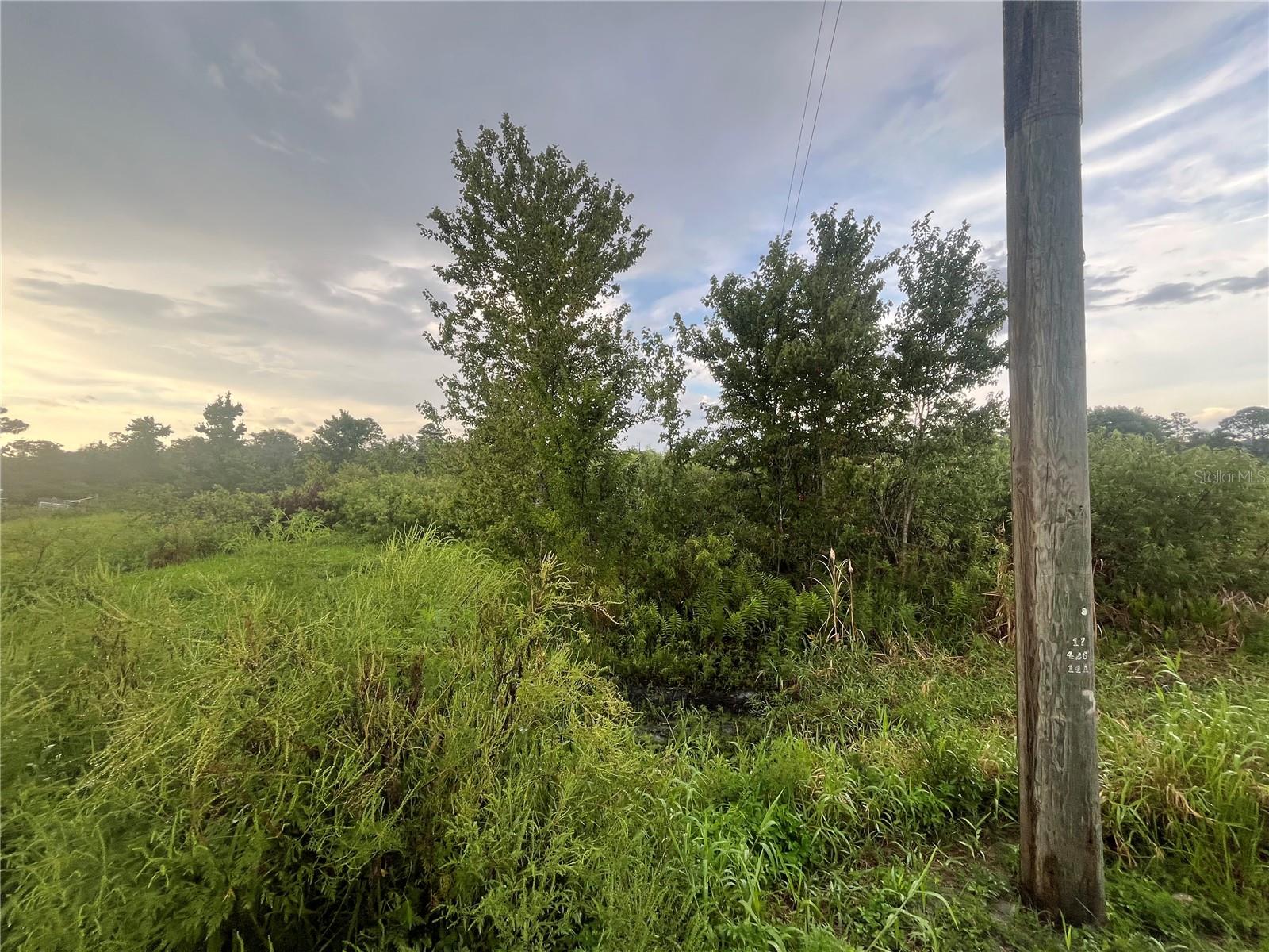 E State Rd 60 Property Photo 8