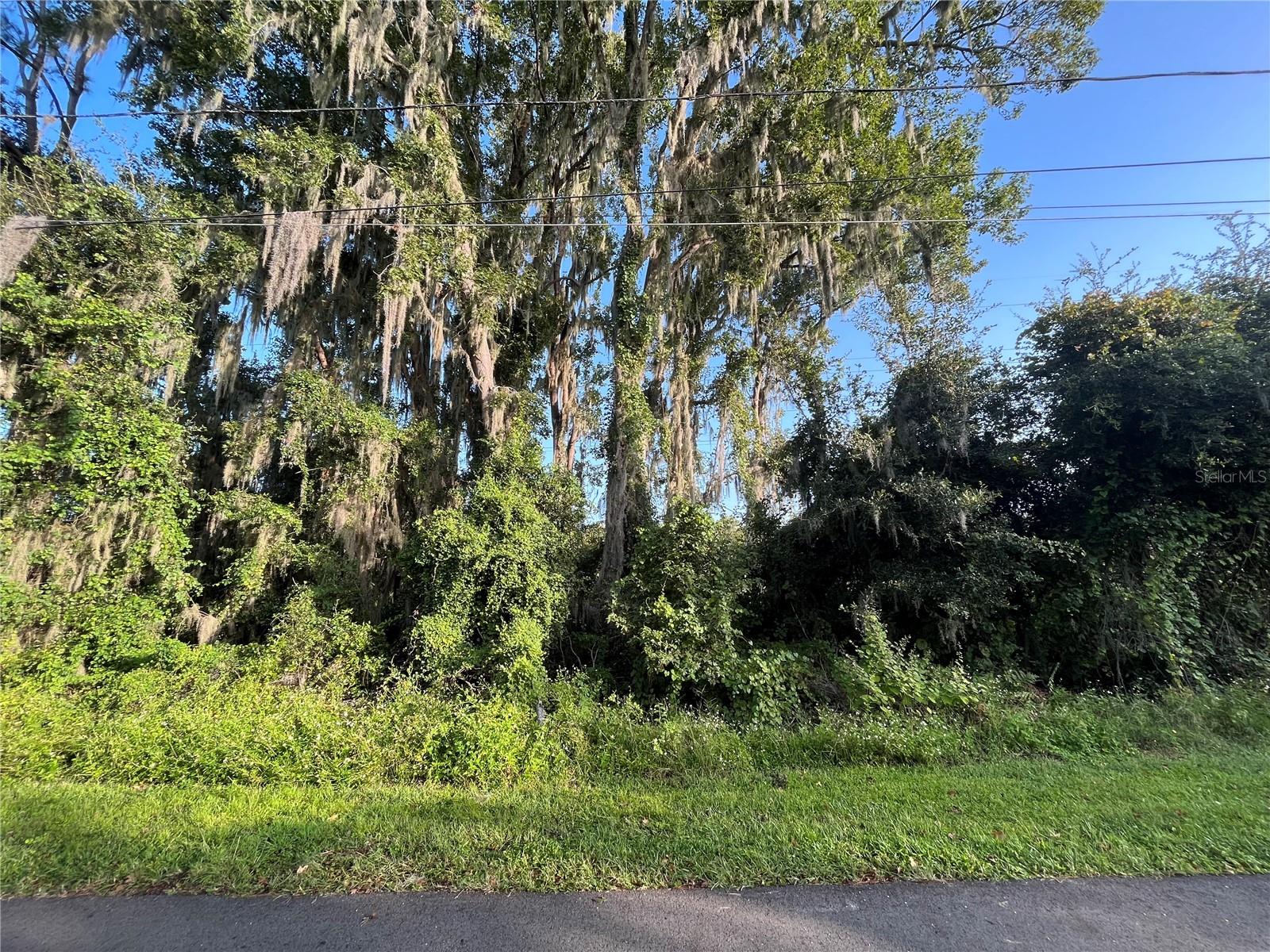 262 TOMS RD Property Photo 1
