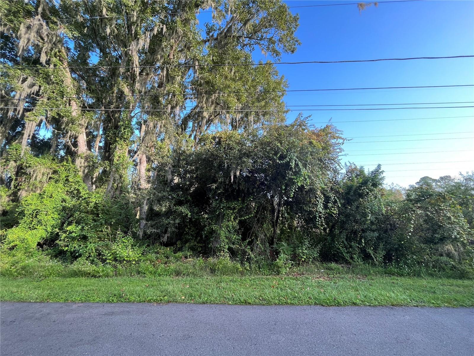 264 TOMS RD Property Photo 1