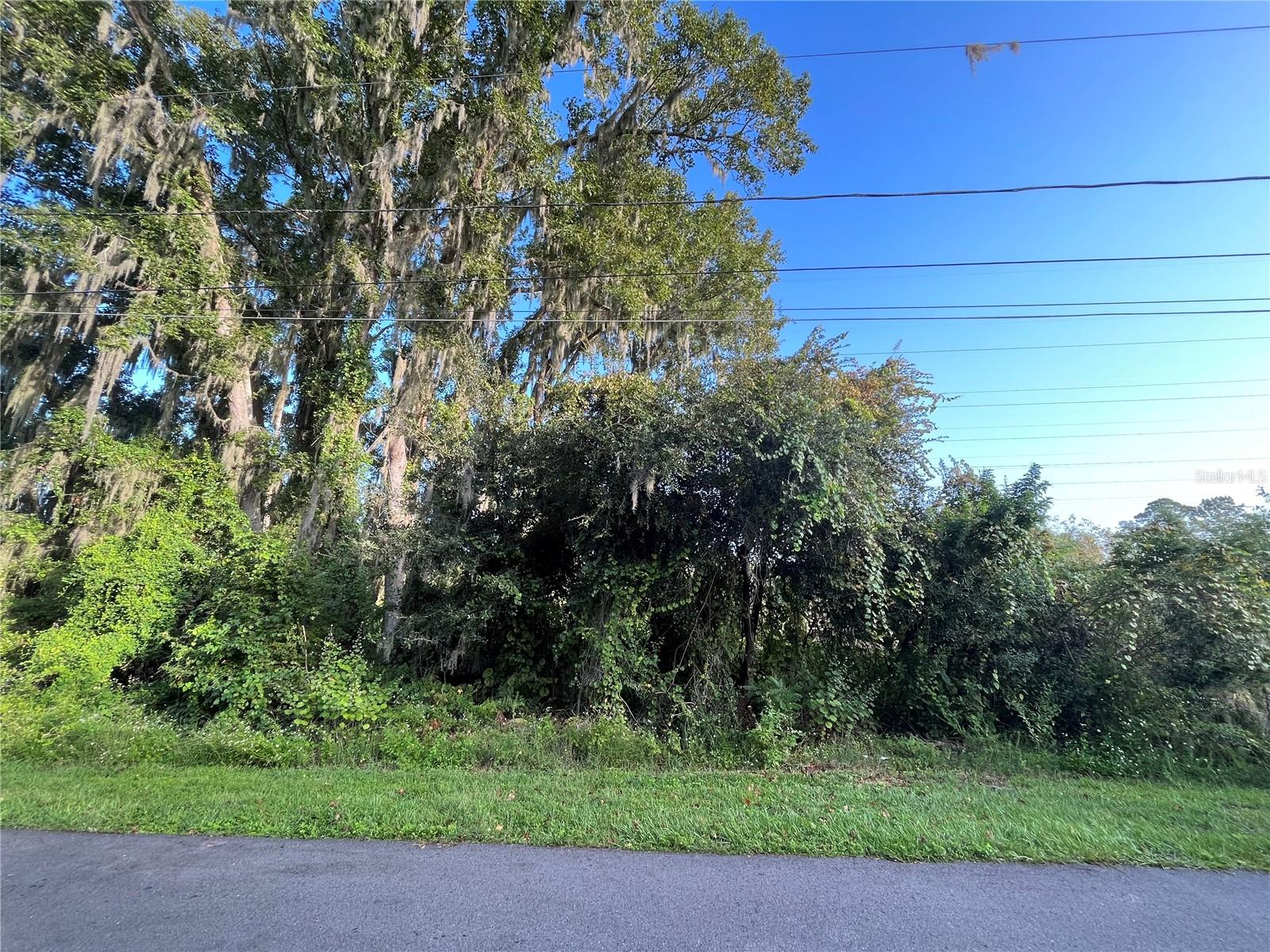 264 Toms Rd Property Photo 2