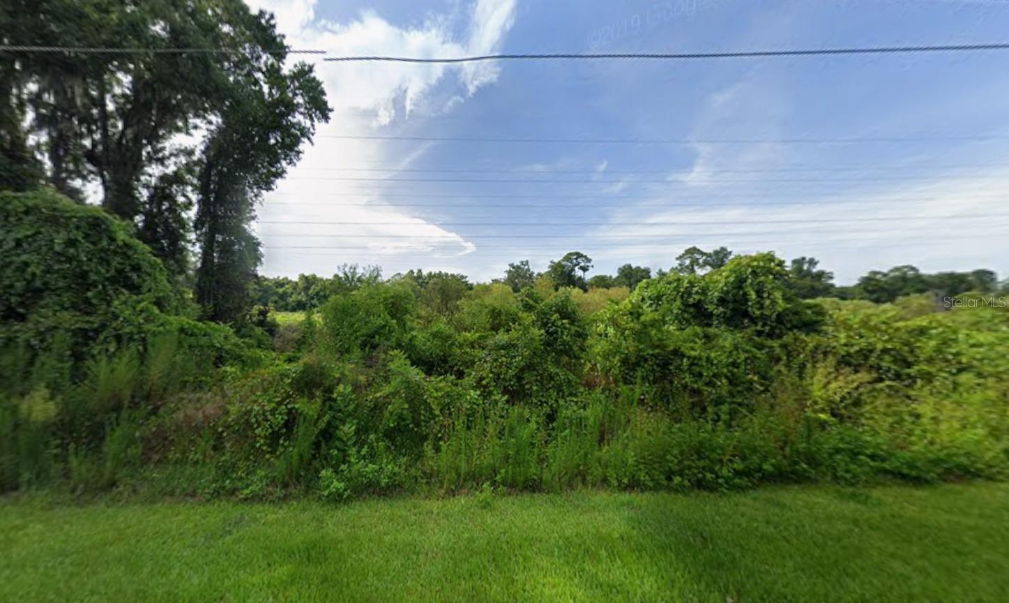 266 Toms Rd Property Photo 7