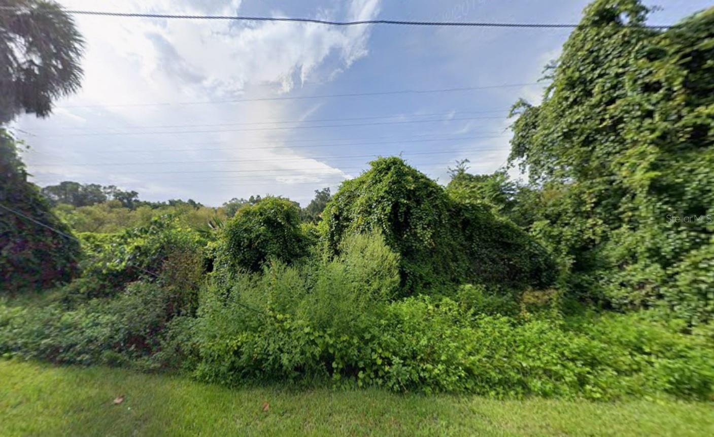 268 Toms Rd Property Photo 6