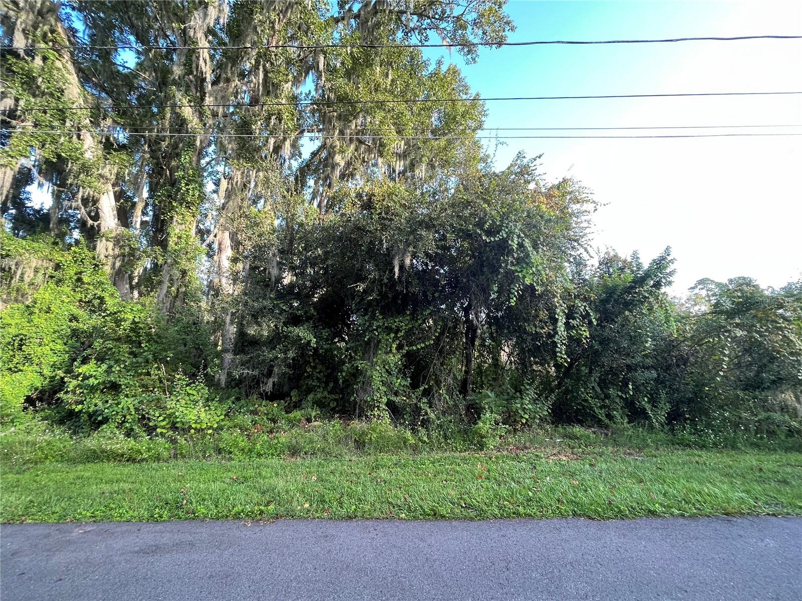 270 Toms Rd Property Photo 5