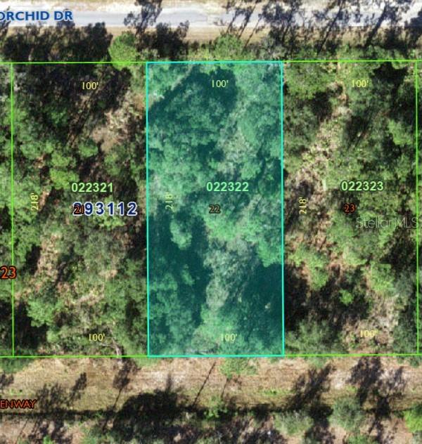 905 Orchid Dr Property Photo 1