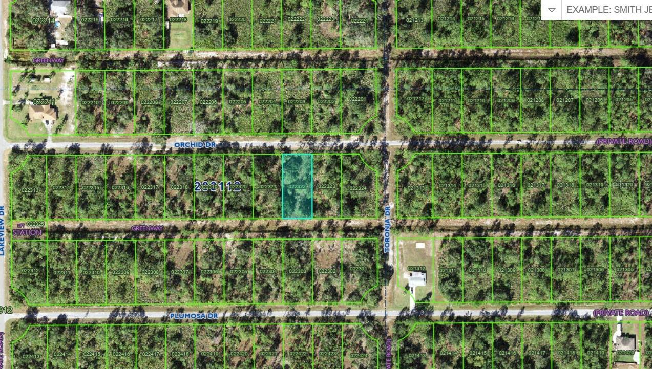 905 Orchid Dr Property Photo 3