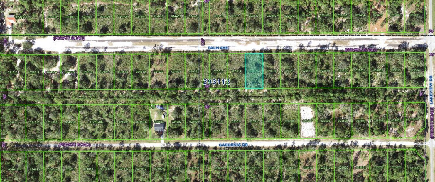 1019 Palm Ave Property Photo 3