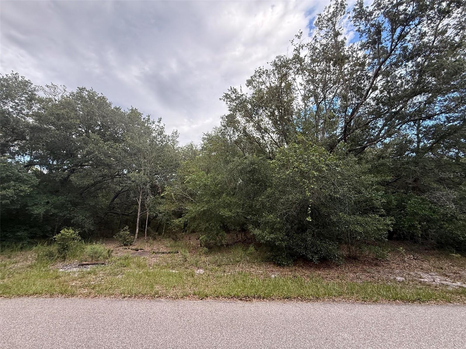 1012 Wildflower St Property Photo 1