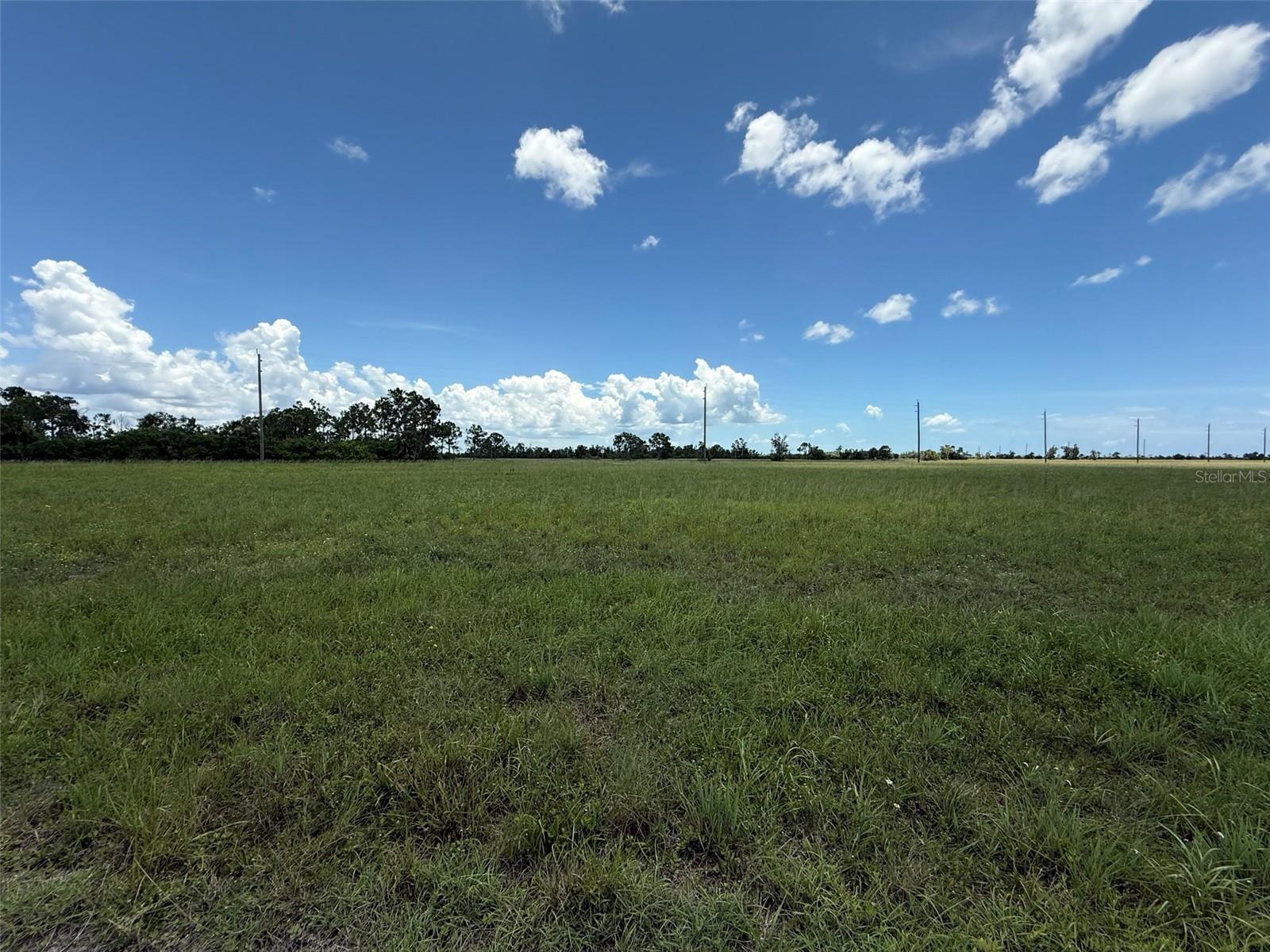 12439 GREENLING WAY Property Photo 1