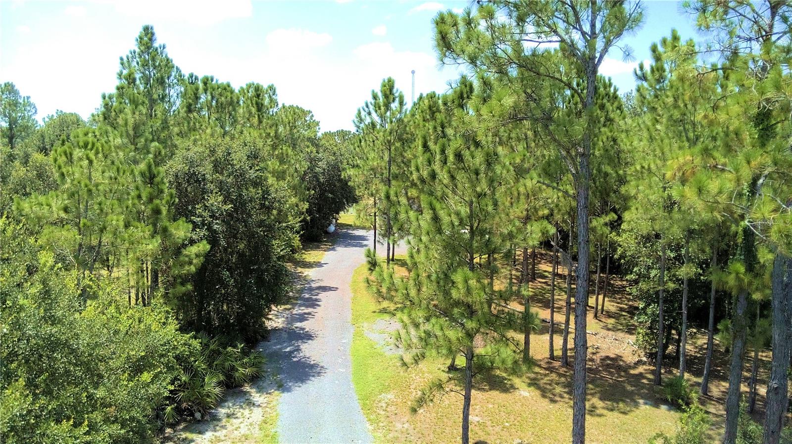 2497 Us Highway 98 W Property Photo 49