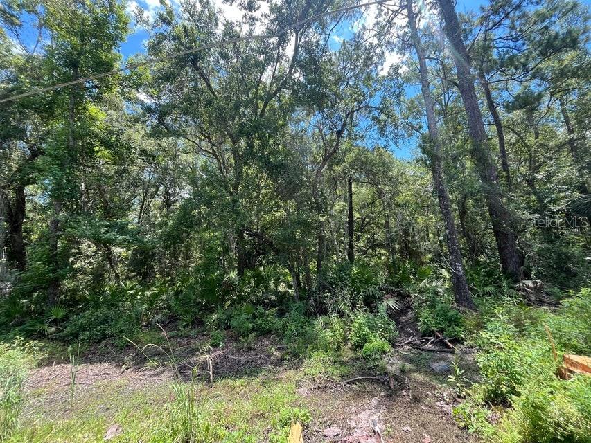 Tbd Franklin Dr Property Photo 7
