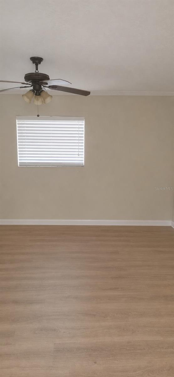 1 Delarm Ave Property Photo 19