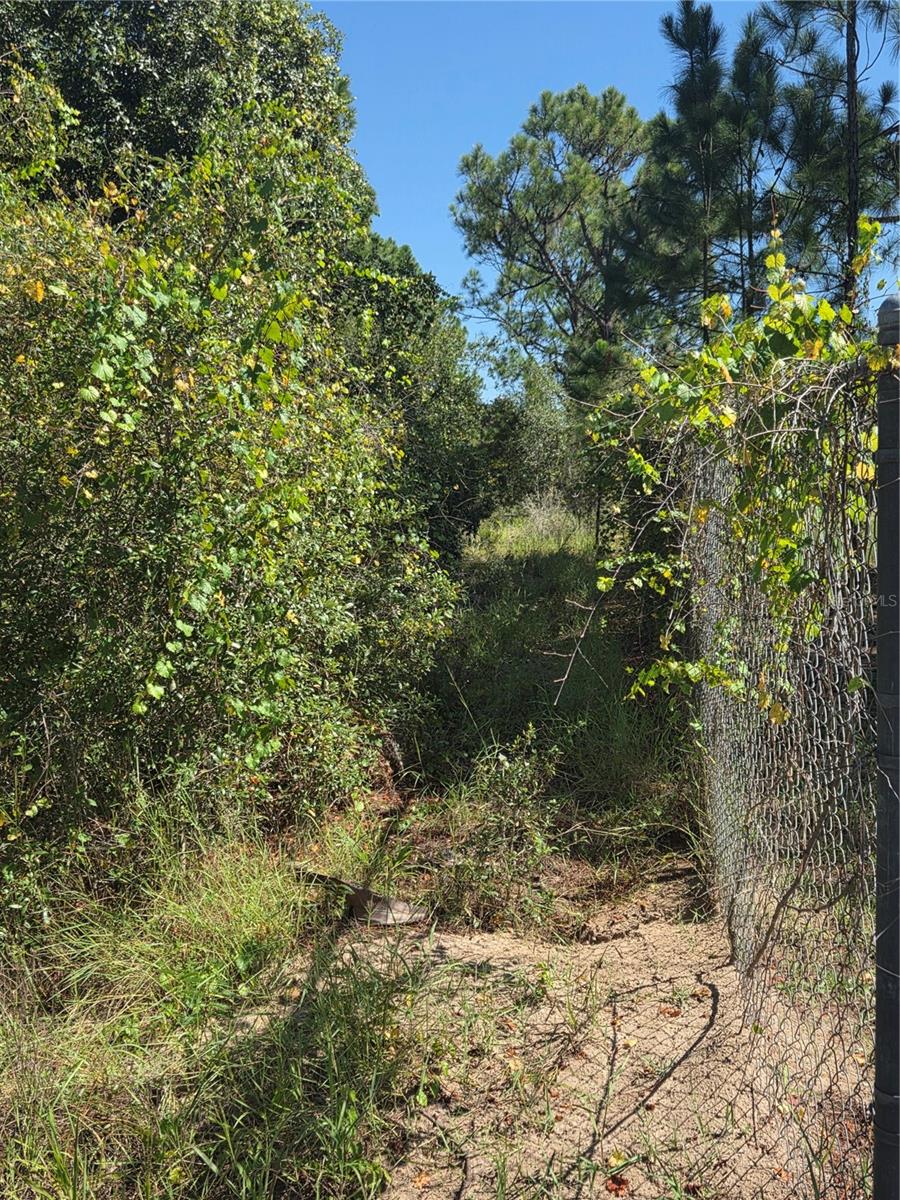 Deer Rd Property Photo 5