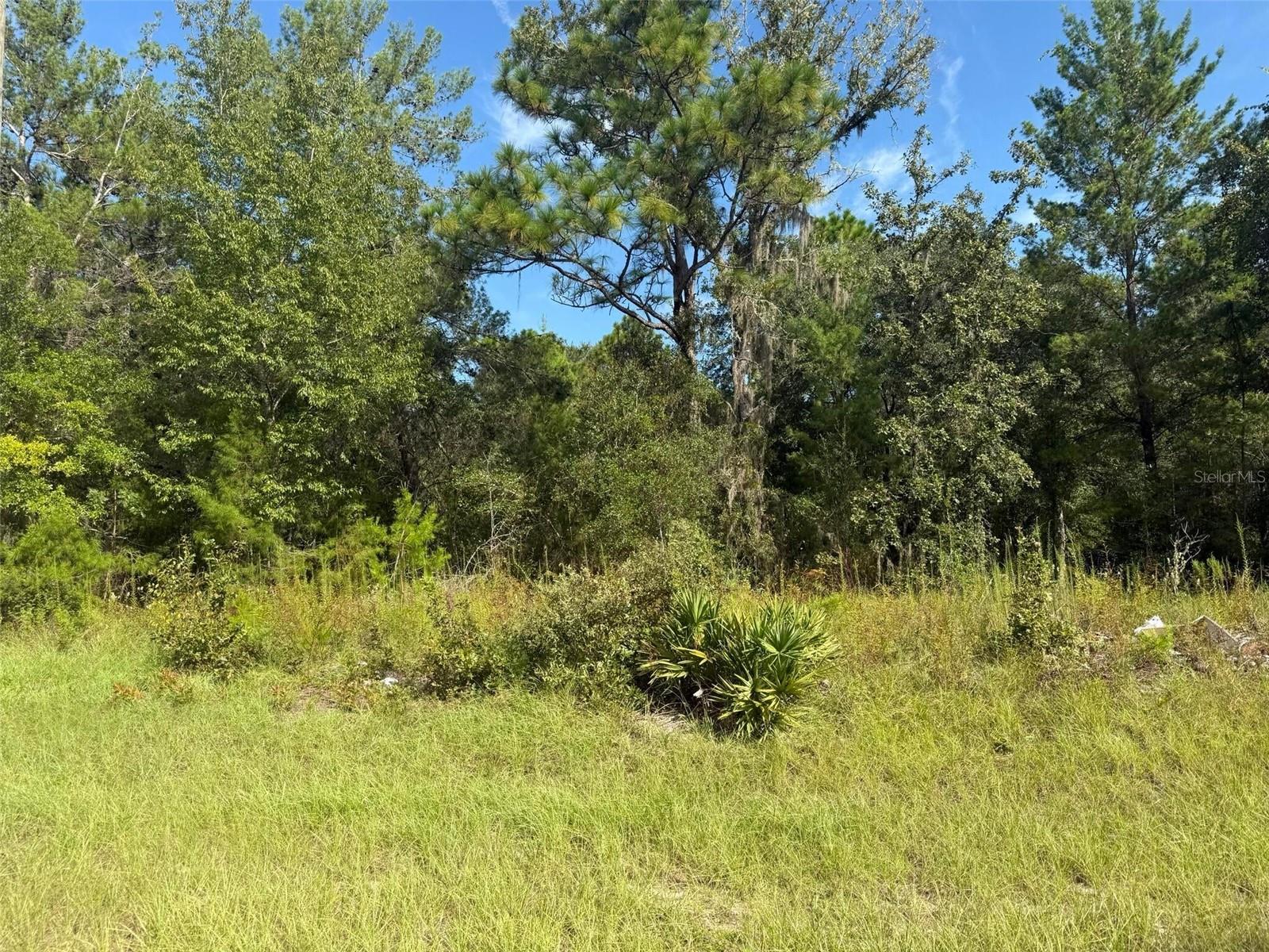 79th Terrace Rd Property Photo 3