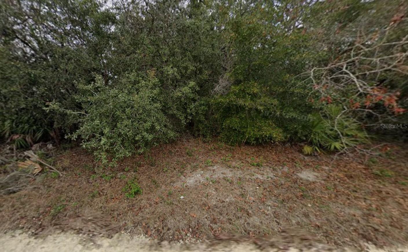 8343 Normandy Dr Property Photo 2