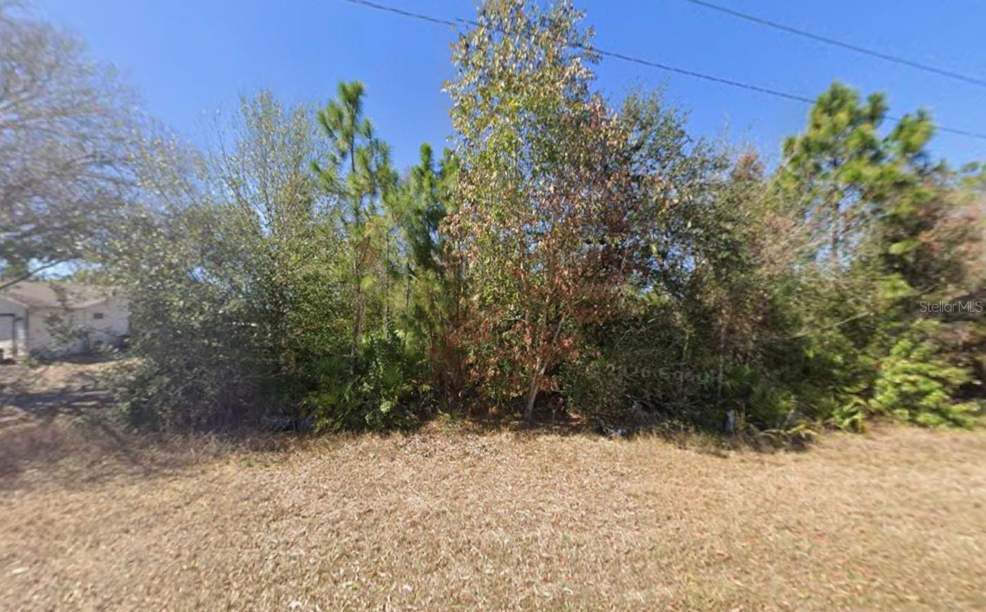 921 Robert Ave Property Photo 4