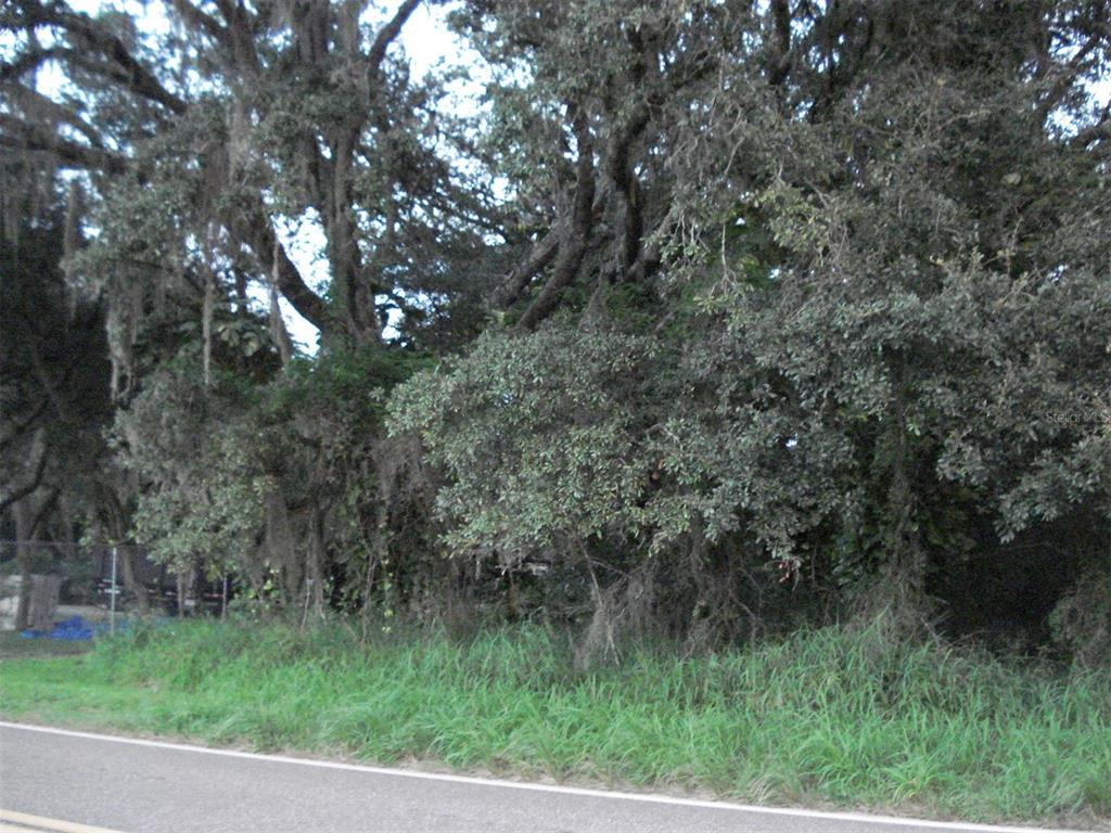 Avon Park Cutoff East Rd Property Photo 2