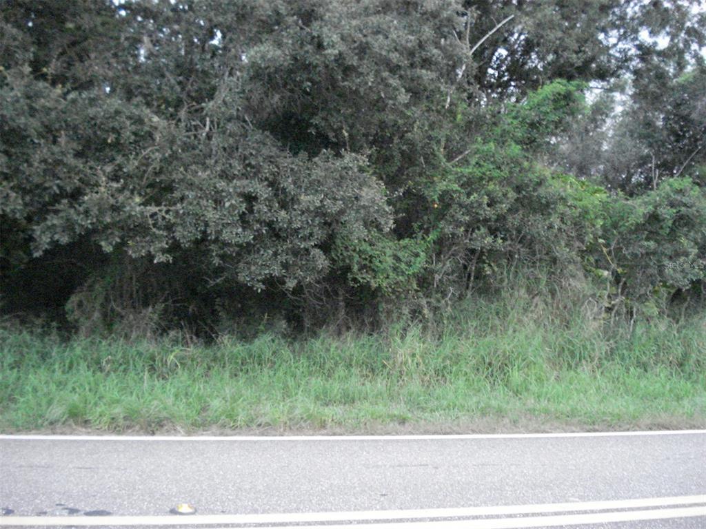 Avon Park Cutoff East Rd Property Photo 3