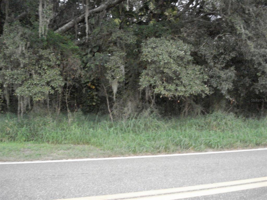 Avon Park Cutoff East Rd Property Photo 4