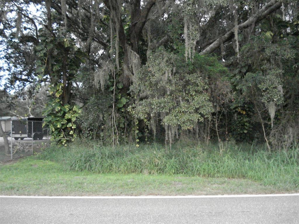 Avon Park Cutoff East Rd Property Photo 6