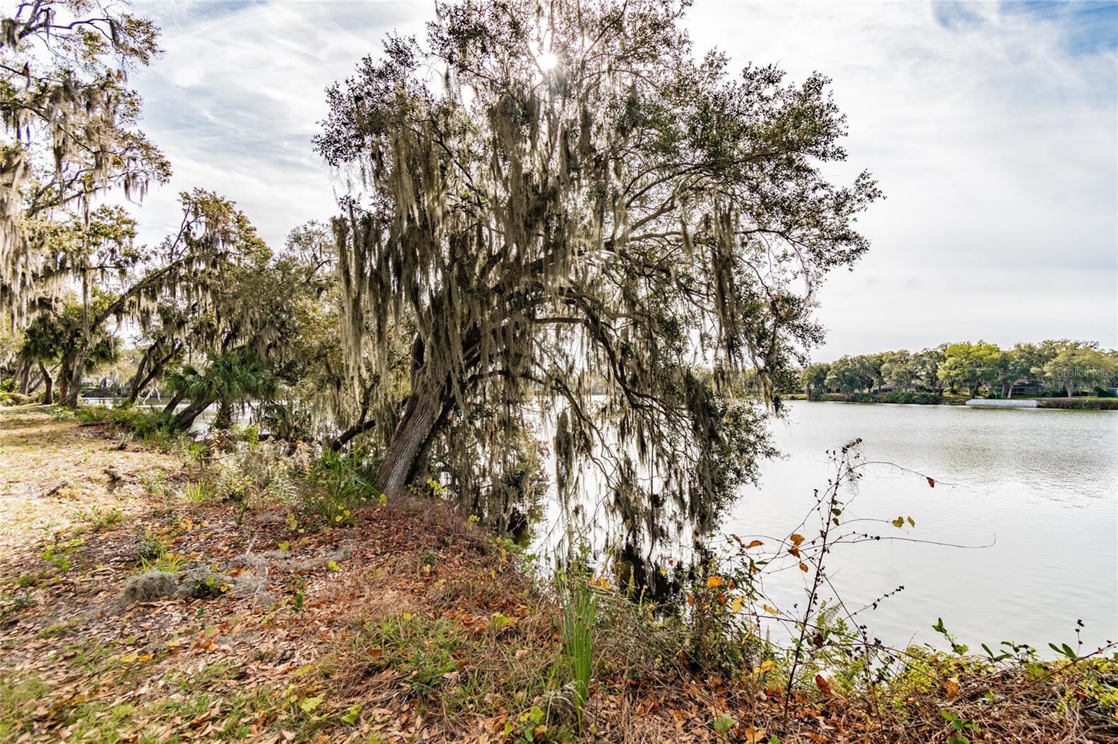 Lot 235 Tigereye Court Property Photo 4