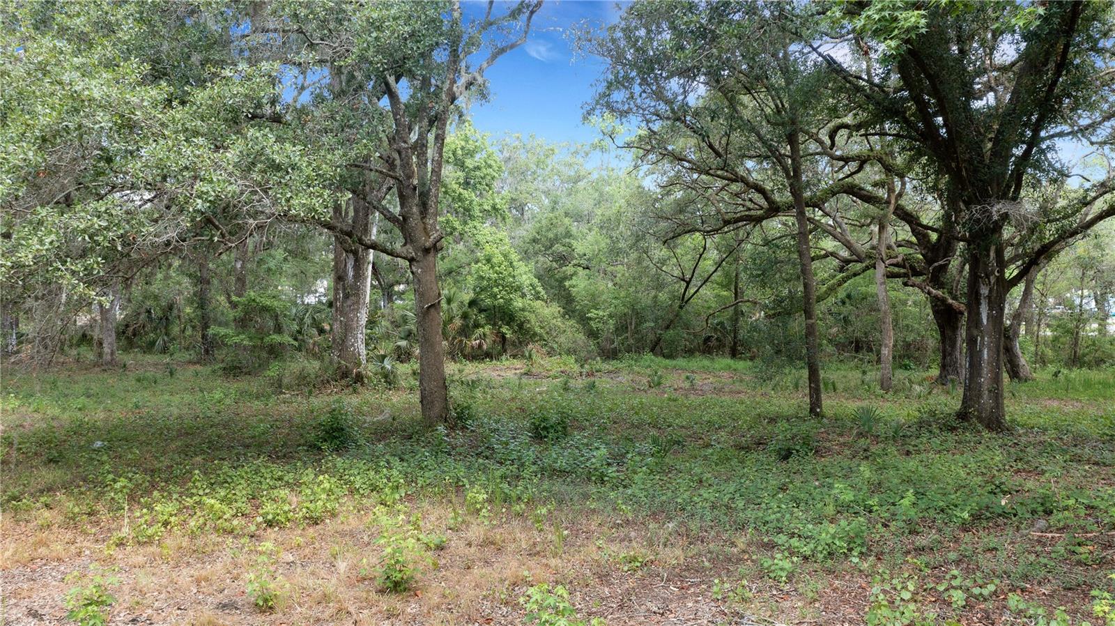 5204 Shepherd Rd Property Photo 28