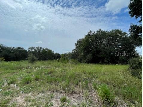 0 Holly Hill Road Property Photo 2