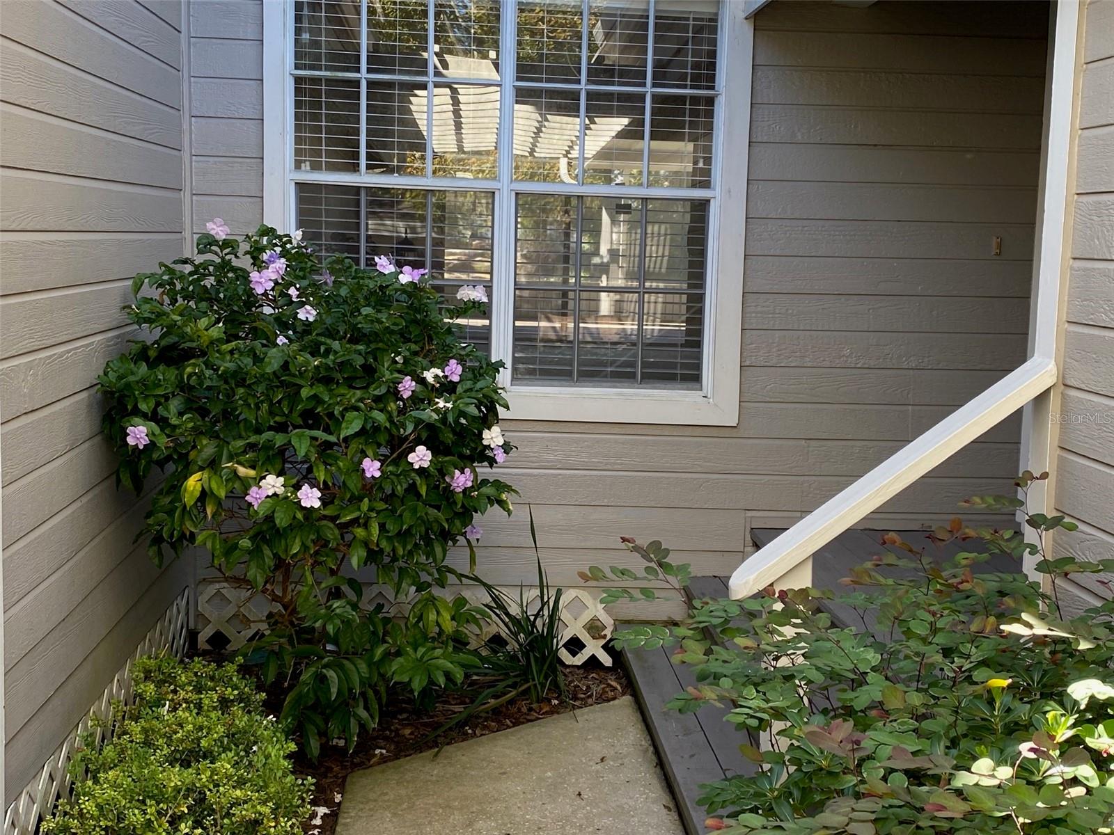 1144 Waterfall Ln #26 Property Photo 1