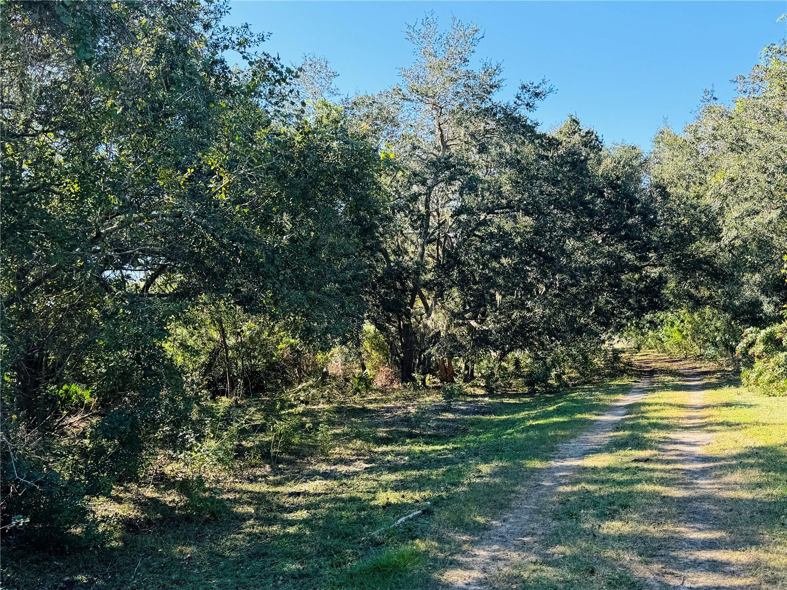 5525 Sparta Rd Property Photo 6
