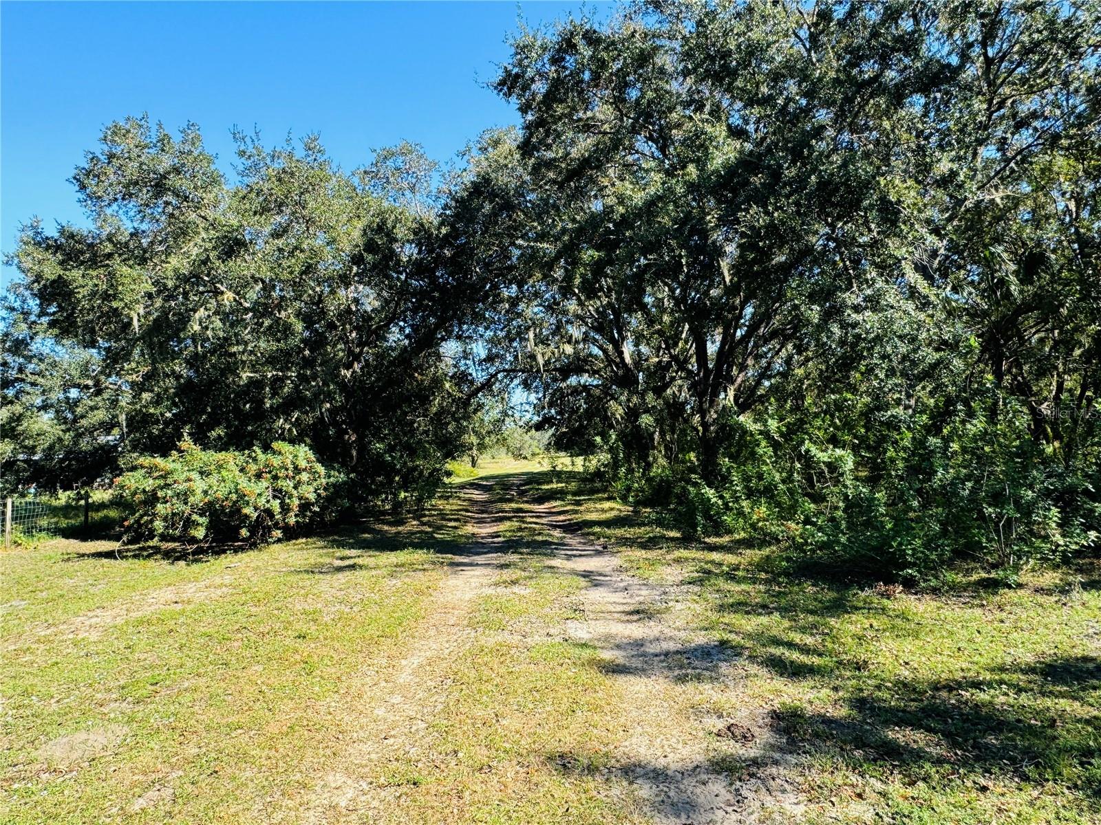 5525 Sparta Rd Property Photo 8