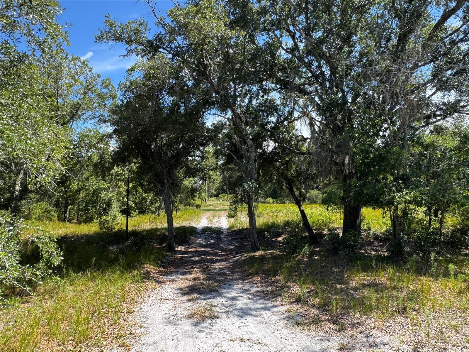 5525 Sparta Rd Property Photo 10