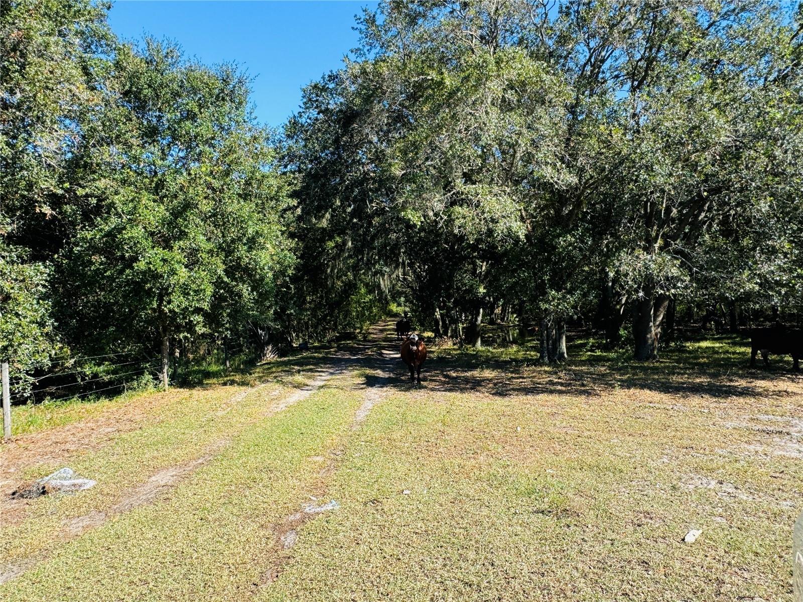 5525 Sparta Rd Property Photo 20