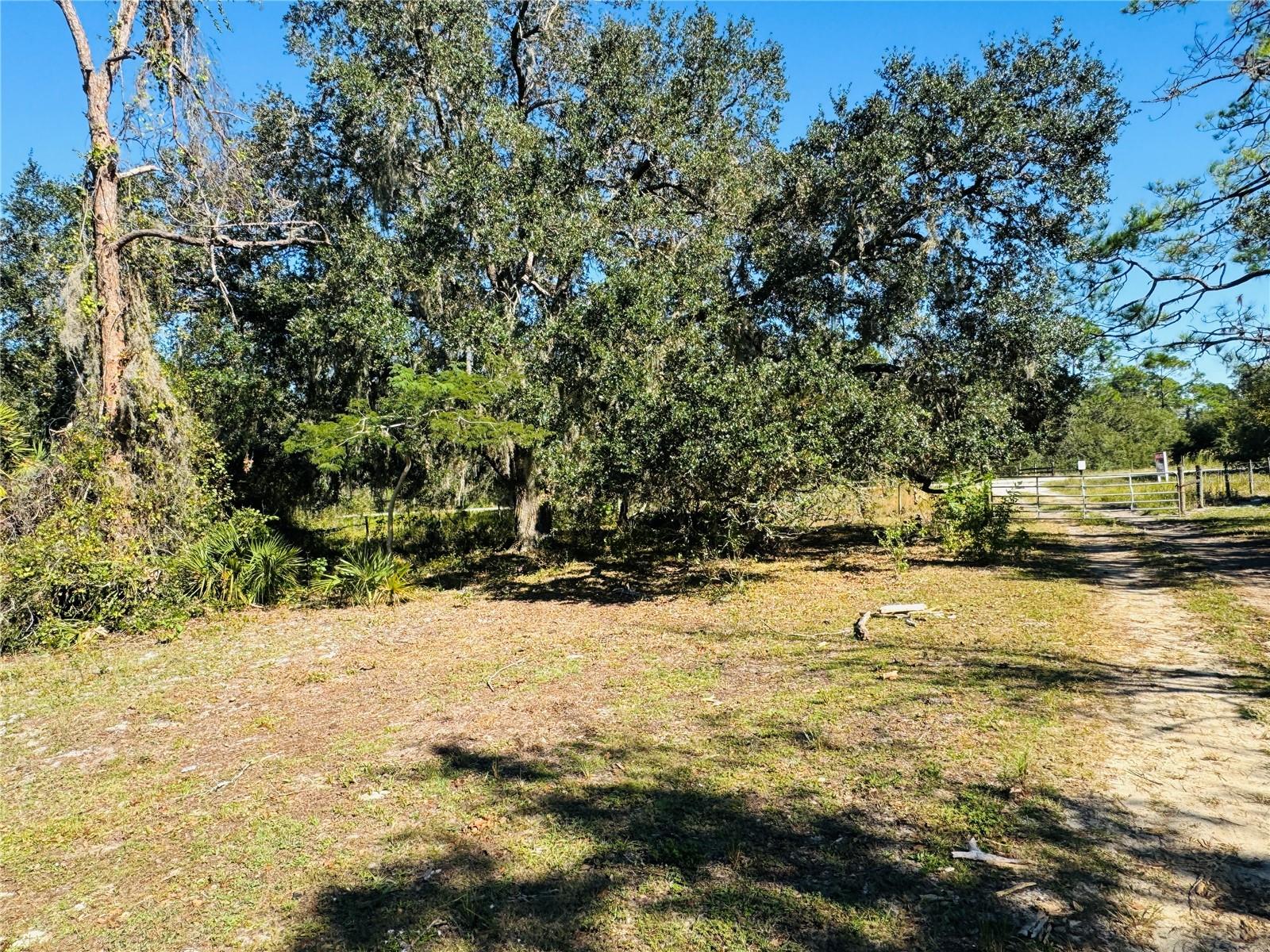 5525 Sparta Rd Property Photo 23