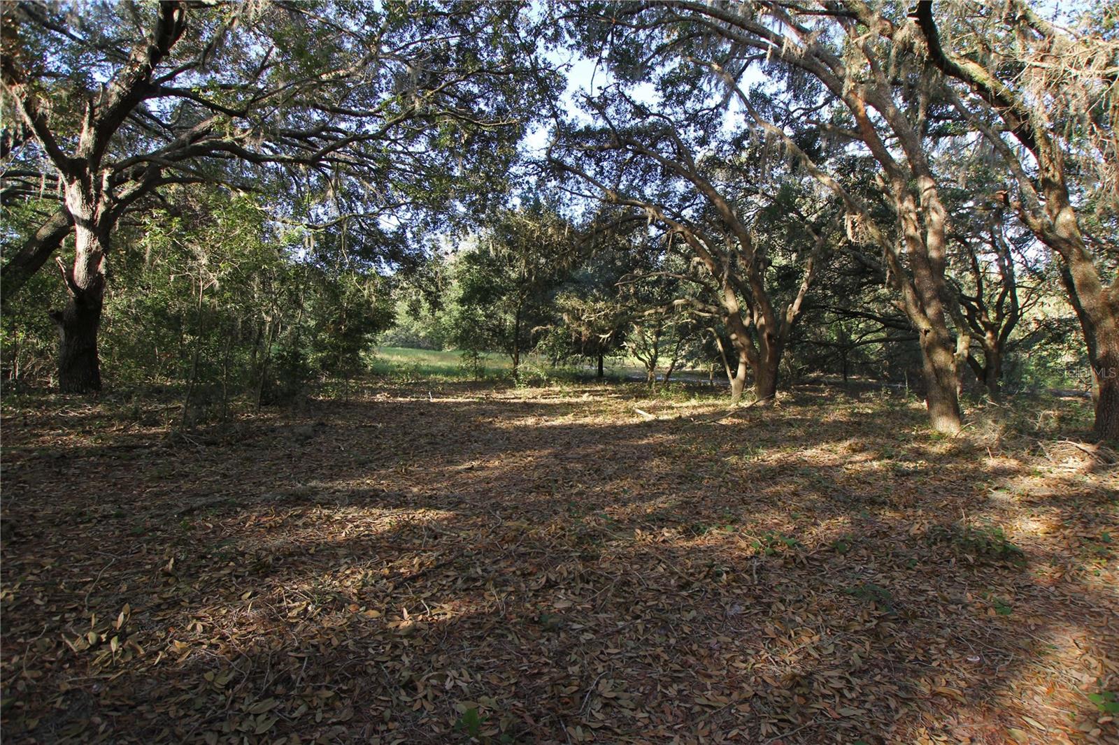0 Patricia Dr Property Photo 2