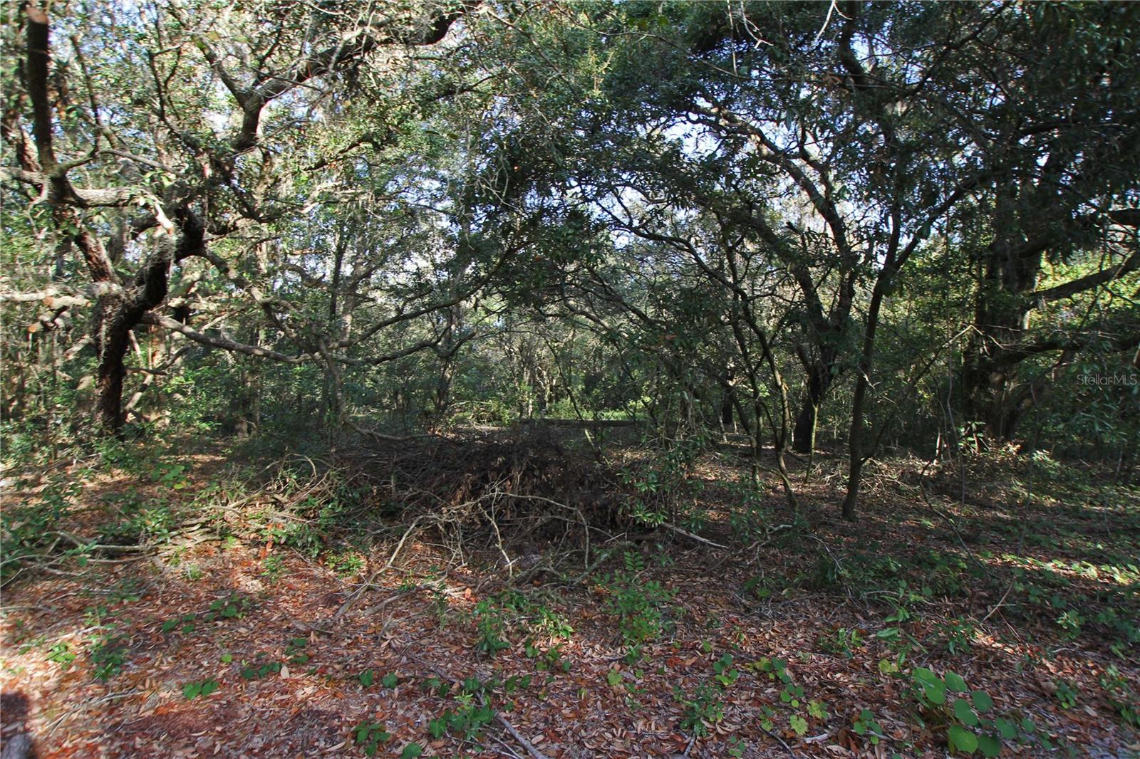 0 Patricia Dr Property Photo 7