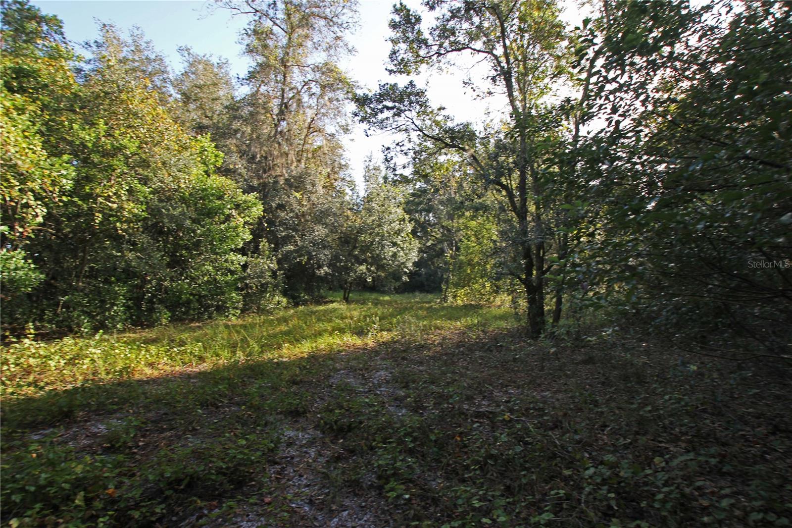 0 Patricia Dr Property Photo 9