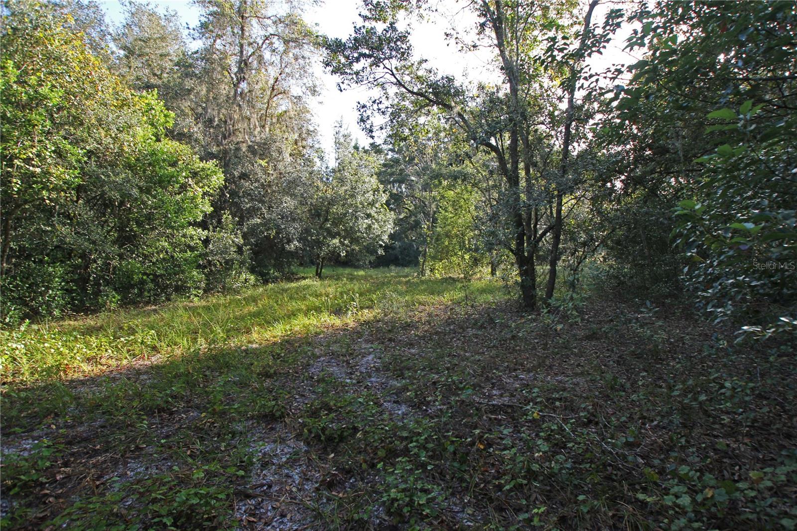 0 Patricia Dr Property Photo 10
