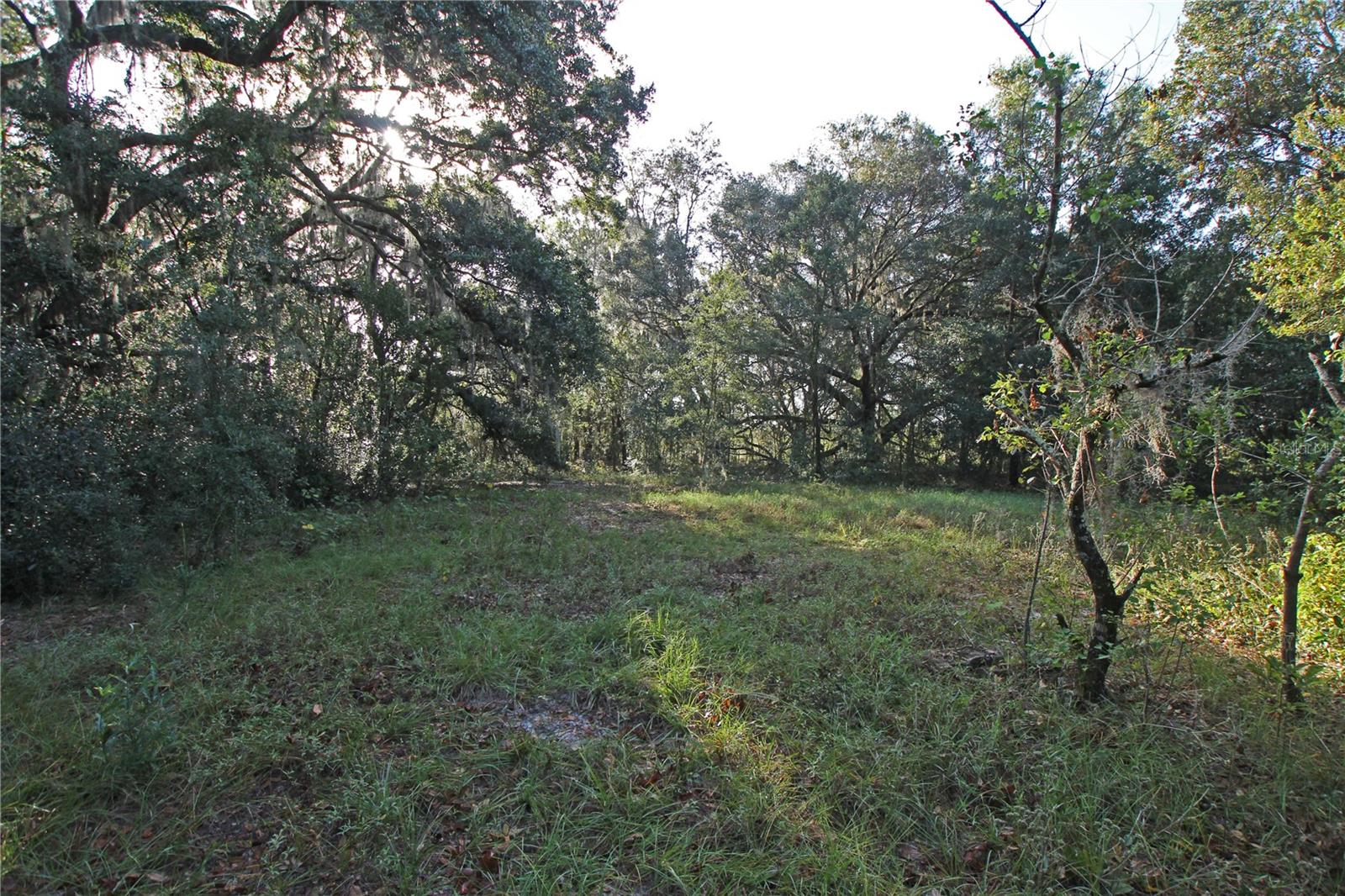 0 Patricia Dr Property Photo 11