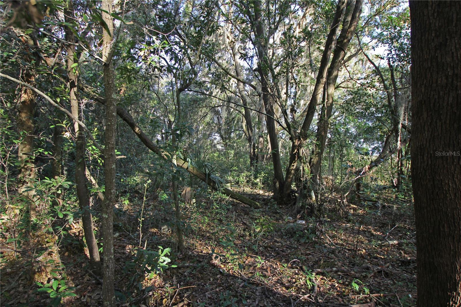 0 Patricia Dr Property Photo 13
